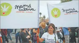  ??  ?? La ong pide mejoras a la ley de uso medicinal. MAMA CULTIVA.