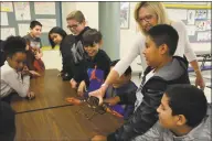  ??  ?? Students look at a live lobster.