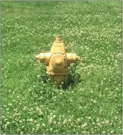 ?? HEATHER HACKING — CONTRIBUTE­D ?? The fire hydrant at my new school is in the grass among the clover. This hydrant is saying hello, with arms wide open.