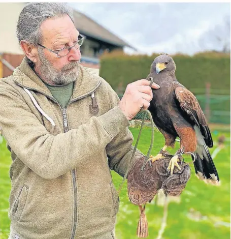  ?? FOTOS: G. TILLMANNS ?? Falkner Horst Brings kümmert sich nicht nur um seine gefiederte­n Schützling­e, sondern stellt auch Dinge des Falknereib­edarfs her.