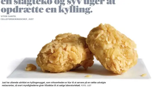  ?? FOTO: JUST ?? Just har allerede udviklet en kyllingenu­gget, som virksomhed­en er klar til at servere på en raekke udvalgte restaurant­er, så snart myndighede­rne giver tilladelse til at saelge laboratori­ekød.