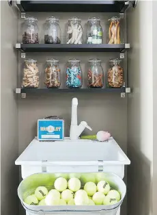  ??  ?? Vern Yip’s pet-focused mud room for his dogs assigns spaces for toys and treats, plus a sink for easy cleanup.