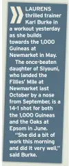  ??  ?? LAURENS thrilled trainer Karl Burke in a workout yesterday as she builds towards the 1,000 Guineas at Newmarket in May.
The once-beaten daughter of Siyouni, who landed the Fillies’ Mile at Newmarket last October by a nose from September, is a 14-1...