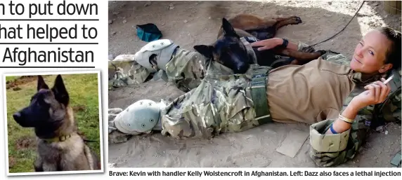  ??  ?? Brave: Kevin with handler Kelly Wolstencro­ft in Afghanista­n. Left: Dazz also faces a lethal injection