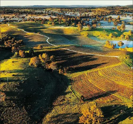  ?? WINE AUSTRALIA ?? The Eden Valley’s Pewsey Vale vineyard was first planted in 1847. Despite being part of the Barossa Valley, Eden is much cooler.