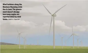  ?? EMMA H. TOBIN/AP ?? Wind turbines along the Montana-Wyoming state line in June. The government doesn’t divulge how many eagles are reported killed by wind farms.