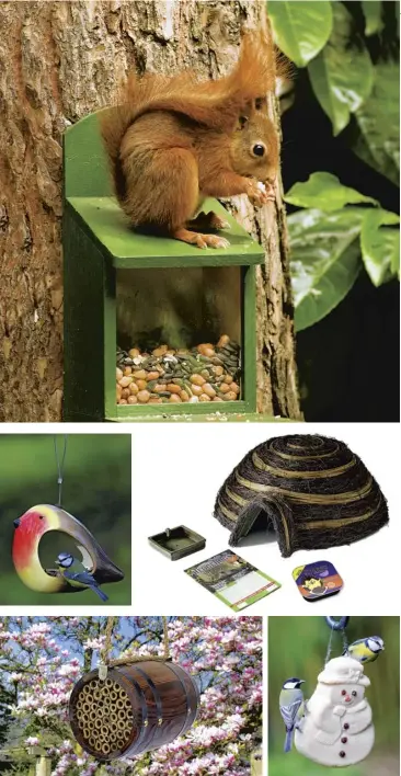  ??  ?? Clockwise from main: wooden squirrel feeder; hedgehog care pack; a suet snowman; Bee-r Barrel bee habitat; a robin ceramic bird feeder