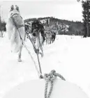  ?? JAY JONES/CHICAGO TRIBUNE ?? Dogs pull a sled as they romp through the snow in Alaska’s interior. The dogs can easily pull their own weight.