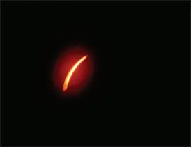  ?? Photos by Bruce Fellman ?? A little past 2:15 pm on April 8th, the moon began obscuring the sun, and by 3:26, it was totally in front of our star, blocking out the sunlight, except for a stunning ring of fire around the sun’s edges and a view of the normally invisible corona.