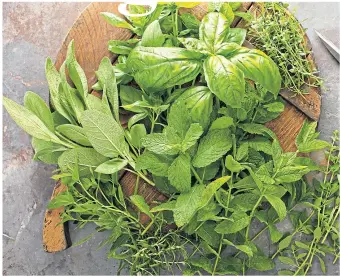  ?? ?? ● A sprinkling of herbs such as basil, oregano or thyme can give meals a delicious boost