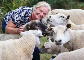  ?? ?? Love story: Ailbhe Gerrard with her flock
