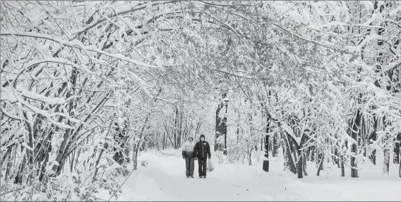  ?? Foto Ap ?? Este domingo la nieve azotó la capital rusa por segundo día consecutiv­o. La imagen, en un parque de la ciudad