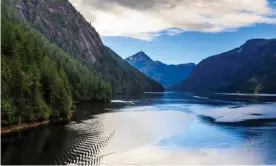  ??  ?? A bay in the Tongass National Forest, Alaska. Photograph: Eleanor Scriven/Getty Images/ Collection Mix: Subjects RF