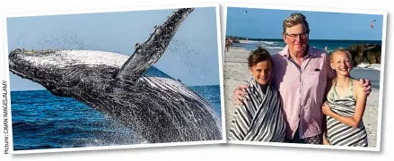  ?? ?? Fantastic show: A humpback whale breaching. Right, Robert and family. Top, Hemingways hotel