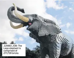  ??  ?? JUMBO JOB: The Lego elephant is comprised of 271,739 bricks
