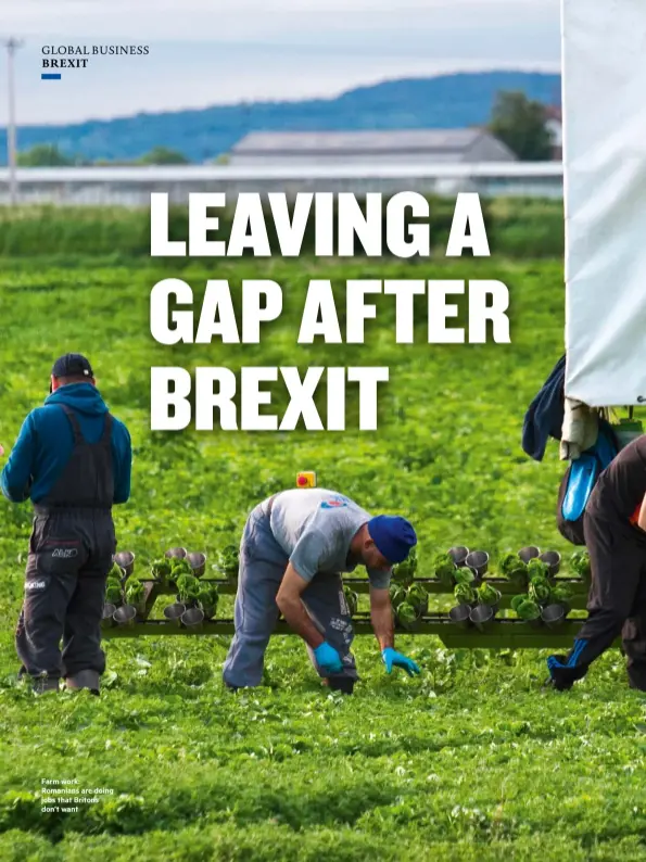  ??  ?? Farm work: Romanians are doing jobs that Britons don’t want