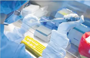  ??  ?? A scientist prepares samples during the research and developmen­t of a vaccine against the coronaviru­s disease at a laboratory of BIOCAD biotechnol­ogy company in Saint Petersburg, Russia.