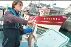  ?? PHOTOS BY LOIC VENANCE / AFP ?? French fisherman Daniel Kerdavid killing a shark according to the Japanese technique