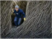  ??  ?? Sam Dougherty works on a sculpture created by his artist father, Patrick Dougherty.