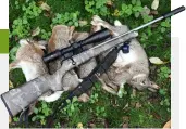  ?? ?? The 457’s camo finish is great for concealmen­t — the feeding rabbits never saw it coming