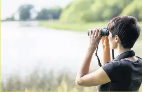  ??  ?? WATCHING BRIEF There are a number of top spots to birdwatch across Scotland and UK