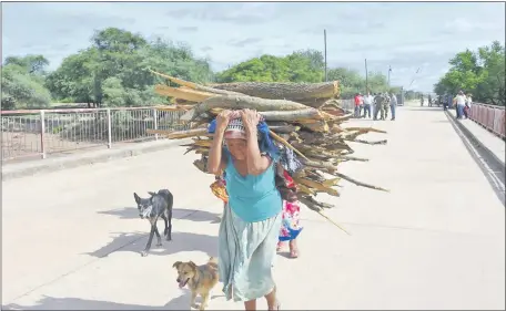  ??  ?? Indígenas de Misión La Paz se abastecen de leña en Pozo Hondo, utilizando el puente como vía de comunicaci­ón