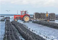  ?? FOTO: SABINE GLAUBITZ/DPA ?? Säcke voller Austern werden in Grandcamp-Maisy auf den Anhänger eines Traktors geladen.
