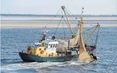  ??  ?? Fischkutte­r auf der Nordsee: Die Fischer holen inzwischen ganz neue Arten aus dem Wasser.
