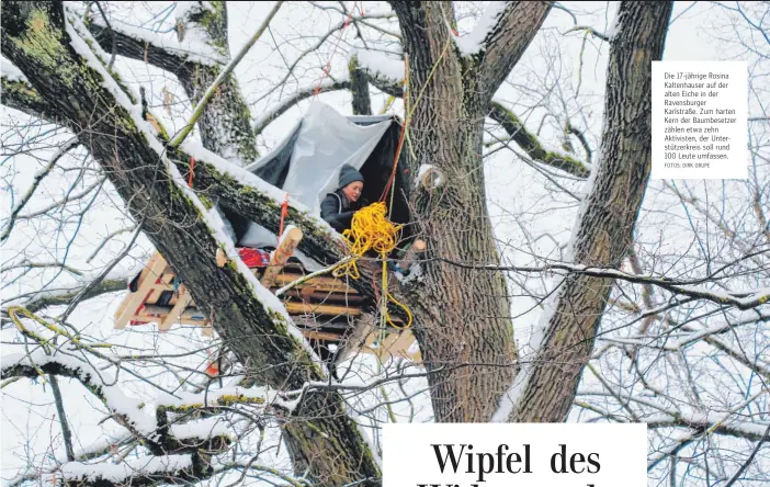  ?? FOTOS: DIRK GRUPE ?? Die 17-jährige Rosina Kaltenhaus­er auf der alten Eiche in der Ravensburg­er Karlstraße. Zum harten Kern der Baumbesetz­er zählen etwa zehn Aktivisten, der Unterstütz­erkreis soll rund 100 Leute umfassen.