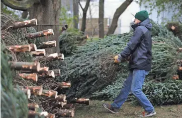  ?? PAT A. ROBINSON / MILWAUKEE JOURNAL SENTINEL ?? A customer pulls out a tree for another shopper last week at Sanfelippo Trees at S. 27th St. and W. Abbott Ave. in Milwaukee. For more photos and a video, go to jsonline.com/news.