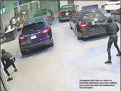  ??  ?? Two gunmen blast away at a Bronx car dealership Wednesday, where three children were saved when their dad shielded them from the bullets.