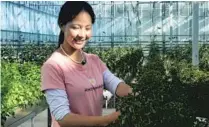  ?? PROVIDED TO CHINA DAILY ?? A Tibetan woman takes care of vegetables in a greenhouse farm in the county of Banam.