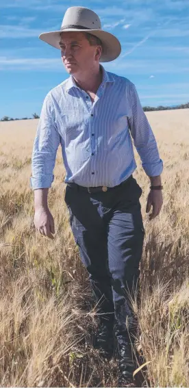  ??  ?? Barnaby Joyce remains immensely popular in rural areas.