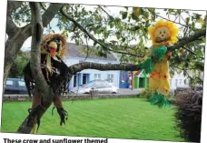 ??  ?? These crow and sunflower themed scarecrows are a great example of what can be entered