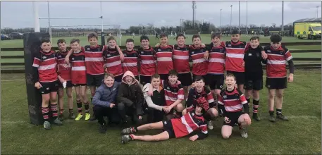  ??  ?? The Wicklow under-14 panel after their superb victory over Ashbourne last weekend.