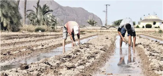  ?? Foto: A. García ?? Die Reform des Ausländerg­esetzes soll den Arbeitsmar­kt beleben – insbesonde­re den für schwer zu besetzende Berufe.