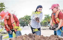  ?? ?? • La alcaldesa dio inicio al pograma de reforestac­ión en la fuente de la Diana Cazadora, en la prolongaci­ón de Paseo Usumacina.