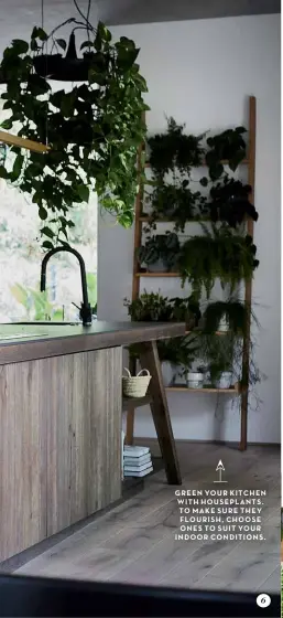  ??  ?? GREEN YOUR KITCHEN WITH HOUSEPLANT­S TO MAKE SURE THEY FLOURISH CHOOSE ONES TO SUIT YOUR INDOOR CONDITIONS