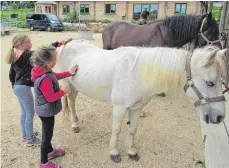  ?? FOTO: KARL MÄGERLE ?? Die Pferde auf der Valley-Brook-Ranch erhalten von den Kindern eine Pflegeeinh­eit.