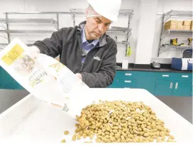  ?? RICK KINTZEL/ MORNING CALL FILE PHOTO ?? Michael Hieger, senior vice president of manufactur­ing at Freshpet, pours out product for a quality assurance inspection in October at the company’s new building in Hanover Township, Northampto­n County.