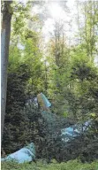  ?? FOTO: MÖCKLIN ?? Das Flugzeug stürzte senkrecht in einen Wald.