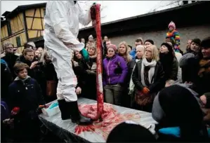  ?? ?? Dyrlaege og nuvaerende direktør i Københavns Zoo Mads Frost Bertelsen viser girafhalse­n frem efter aflivninge­n. Foto: Peter Hove Olesen