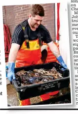  ??  ?? Lay down the claw: Processing lobsters at Bridlingto­n harbour in East Yorkshire