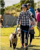  ?? DAVID UNWIN/STUFF ?? Nathan Gloyn parades Bat Girl around at Glen O¯ roua School’s lamb and pet day.