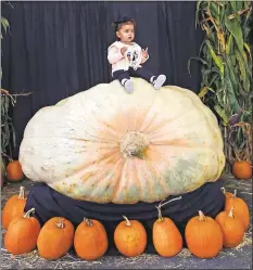  ?? JOHN GREEN — STAFF ARCHIVES ?? That’s Penelope Lopez, 1, of San Jose atop the 1,969pound winning giant pumpkin at the 2015 Half Moon Bay Pumpkin Festival. The event returns this weekend.