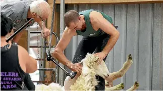  ?? ROBYN EDIE/STUFF ?? Southland shearer Nathan Stradford has won the South Island Shearer of the Year title for the first time after competing in the event for 20 years.