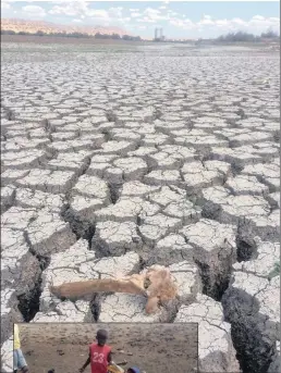  ?? Pictures: SUPPLIED ?? Above, all that remains of Winburg dam is a dried muddy bed, while left, children drink water that is also being used for cattle.