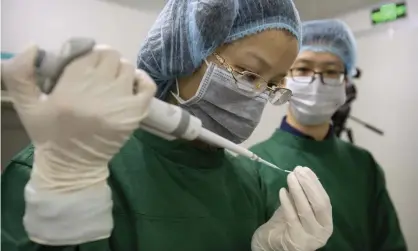  ??  ?? Scientists at work in the Chinese laboratory where Dr He Jiankui claims to have helped make world’s first geneticall­y edited babies. Photograph: Mark Schiefelbe­in/AP