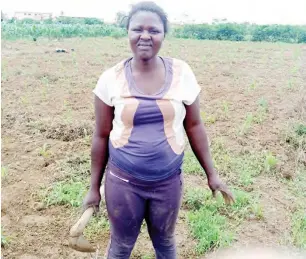  ??  ?? A woman in her farm near Jos, Plateau State