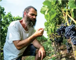  ??  ?? Swedish winemaker Murre Sofrakis, 51, is one of the country’s biggest winemakers. He runs two properties: his own called Klagshamn and another one called Fladie, where he is the winegrower. — AFP